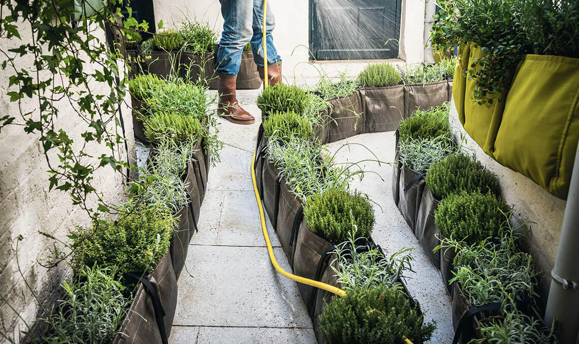 Bacsac - Pot sac de plantes